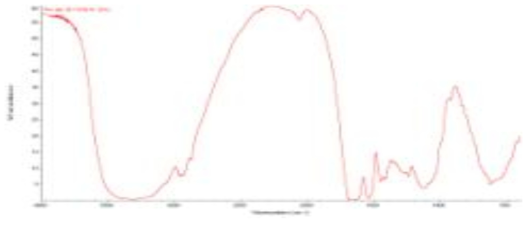 Moringa 구조 확인을 위한 FT-IR 분석 결과