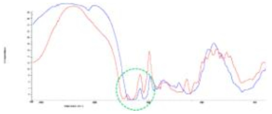 Moringa와 MoMa FT-IR을 통한 구조 확인 후 비교결과