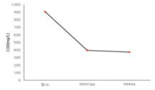 Moringa와 MoMa를 이용한 응집 처리 후 COD 분석 결과