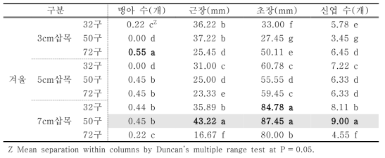 처리에 따른 줄사철의 겨울철 생육변화 비교