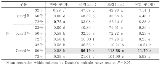 처리에 따른 줄사철의 봄철 생육변화 비교