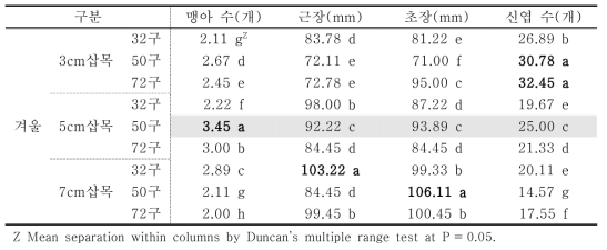 처리에 따른 섬기린초의 겨울철 생육변화 비교