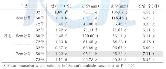 처리에 따른 꿩의비름의 겨울철 생육변화 비교