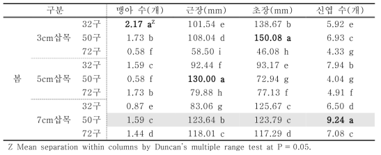 처리에 따른 꿩의비름의 봄철 생육변화 비교