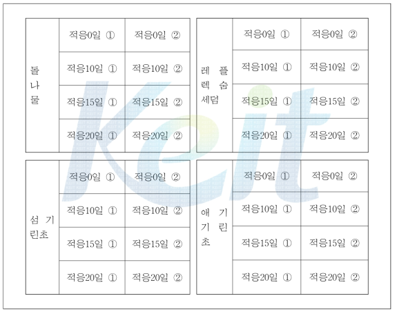 공시식물 4종의 적응기간 4가지 처리 실험구 배치도