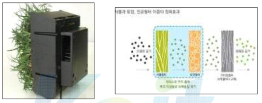 그린와이즈