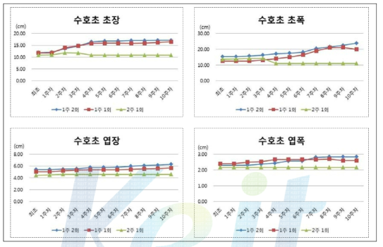 관수주기에 따른 수호초의 물리적 생장측정인자 변화