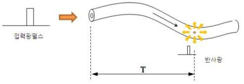 Optical Fiber 내에서 Scattering