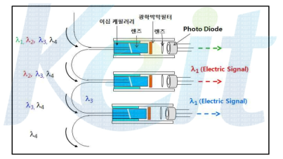 일체형 파장다중/광전변환모듈 구성