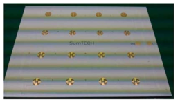 Bridge lux 0.5watt Chip Die bonding & Wire Bonding