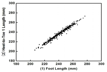 Scatter Plot for Foot length vs. Heel-to-Toe 1 length.