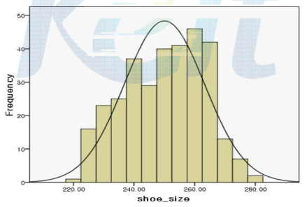 Frequency histogram of Shoe size.