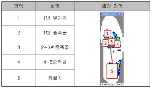 족저압력 측정 영역