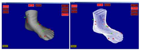 Surface type of Foot view 및 Wireframe type of Foot view.