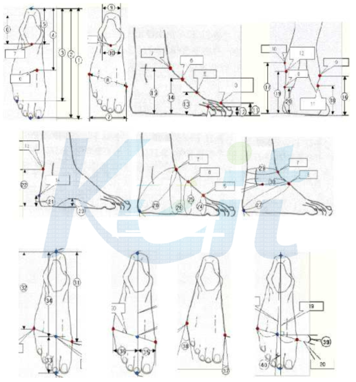 3차원 발 측정항목.