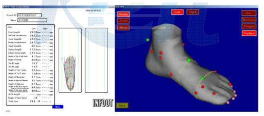 Infoot S/W상의 측정 결과 (사이즈 : 245) 및 Iso-view of Foot view.