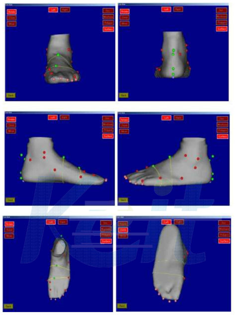 계측된 발의 형상.