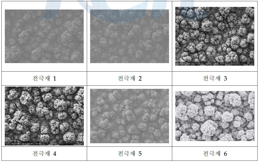 전극재 mett면 SEM