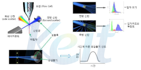 유세포 분석 (flow cytometer) 방법을 이용한 입자 계수기