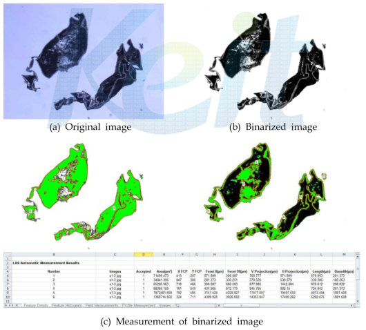 Process of image measurement for LAS