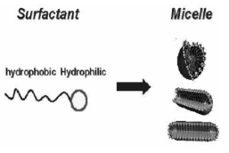 Surfactant and Micelle