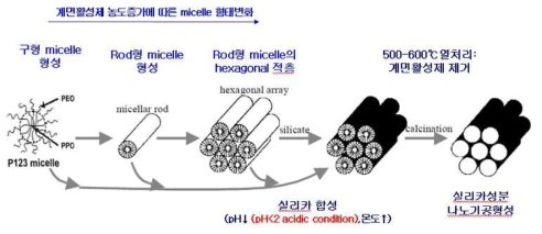 Synthetic mechanism of hexagonal phase mesoporous silica