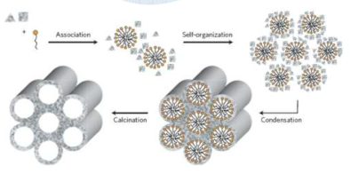 The formation mechanism of the templated mesoporous silicas