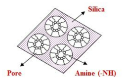 Mimetic diagram of functionalized mesoporous silica