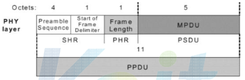PHY 레이어