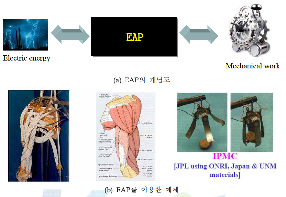 EAP (Electro Active Polymer)를 이용한 인공근육 개발