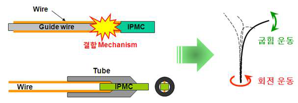 IPMC 결합 메카니즘 간략도