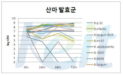 산마 발효군의 배양 시간에 따른 각 균주의 균수변화