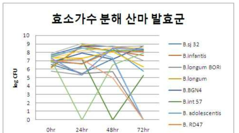 효소가수분해 산마 발효군의 배양시간에 따른 각 균주의 균수변화