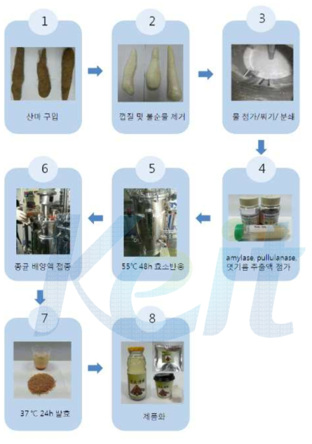 산마 발효음료 제품화