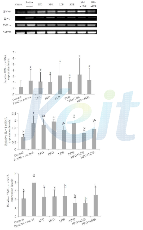 Relative mRNA expression levels of IFN-γ, IL-4, and TNF-α in draining lymph node