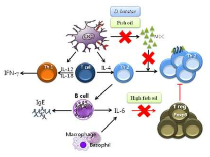 Schematic overview of atopic dermatitis