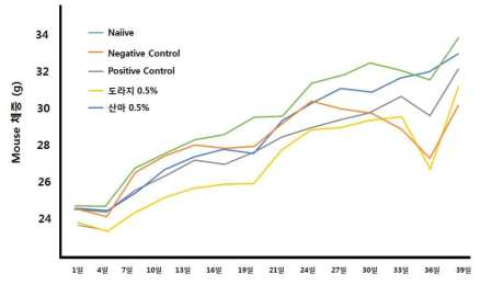 아토피 피부염의 유발로 인한 mouse 체중의 변화