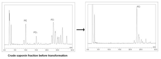 Platycodin D의 HPLC chromatogram