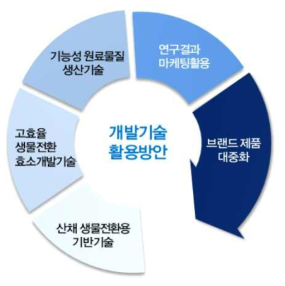 개발기술의 활용방안