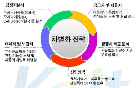 개발기술의 차별화전략