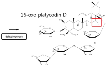 Aspergillus균주를 이용한 PD의 16-oxo platycodin