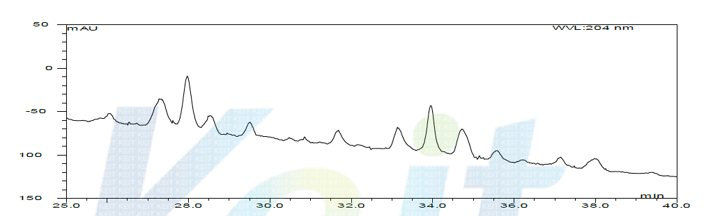 KFRI 954 A. oryzae 3일차