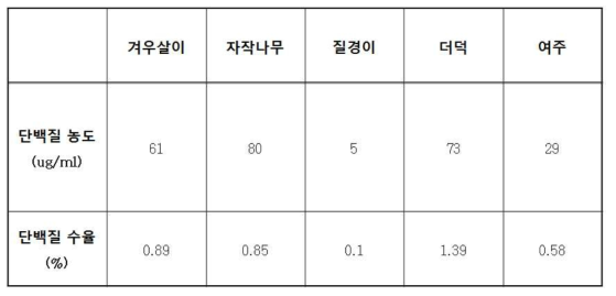 진공추출물 내 단백질 농도