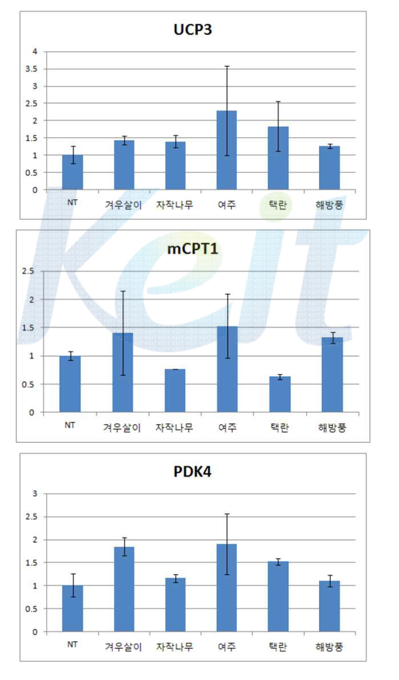 자생식물 추출물의 지방산 산화 관련 유전자 변화