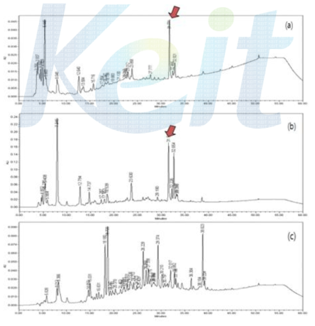 HPLC 분석 결과