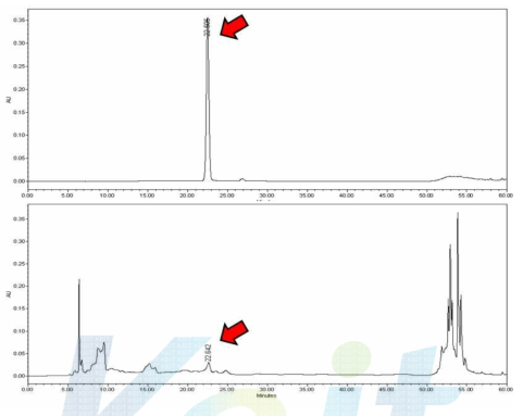 Syringin 표준품과 겨우살이 MeOH 추출물의 peak 값 비교(대호양행)