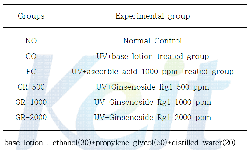 Experimental design of animals