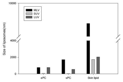 Size of liposomes made of skin lipid, ePC and sPC