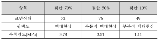 젖산 저항성 실험 (표면상태, 광택도, 부착강도, 표면사진)