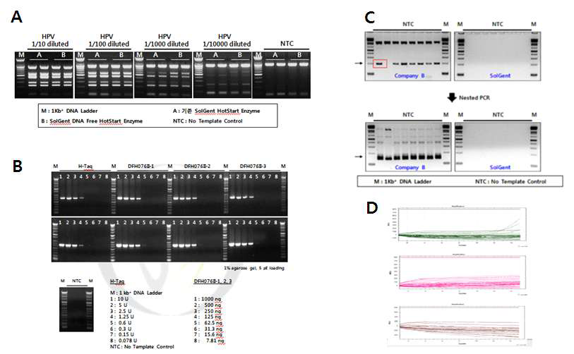 개발 완료된 DNA free Hot-start Taq polymerase 의 DNA free 및 활성 검증